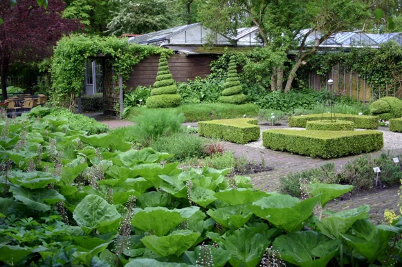 vakantiehuisje-reestdal-Drenthe-Overijssel